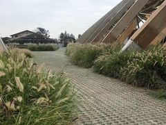 -中国天府农业博览园