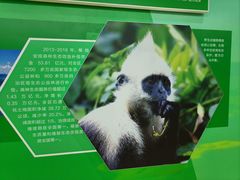 -广西规划馆