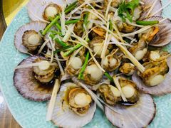 油泼扇贝-天伦海鲜·老味道·青岛菜(栈桥天主教堂店)