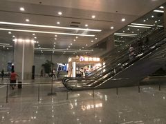 -上海浦东国际机场-T2航站楼