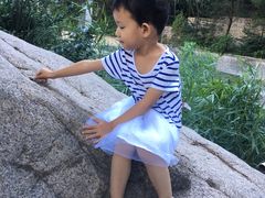 -碓臼峪自然风景区