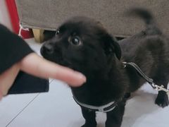 -派特宠物医院(圆融广场店)