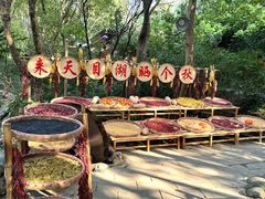 -天目湖山水园