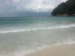-绿中海度假村