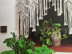 -树咖啡tree coffee