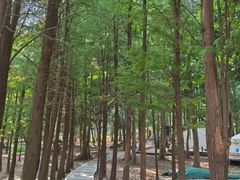 -广州市帽峰山景区