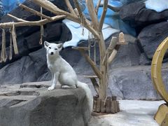 -海合安青岛极地海洋公园