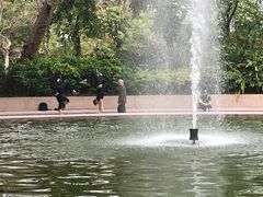 -九龙公园