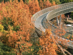 -梅峰山地公园