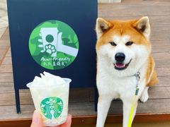 -星巴克(武汉招商公园1872店)