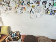 -吉丁鸟咖·异宠·寄养