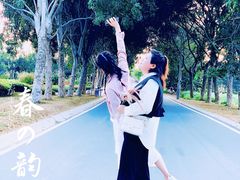 -光明小镇欢乐田园
