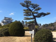 -名古屋城
