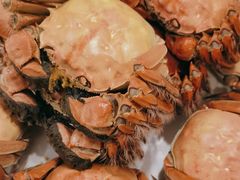 -大鹏饭店·金陵家宴(奥体中心店)