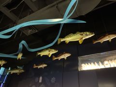 -同济大学四平路校区深海探索馆