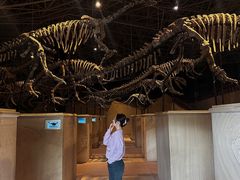 -世界恐龙谷景区