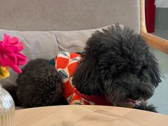 -唐咖精品咖啡(大理古城手冲店)