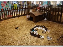 4层小萌兔窝-远洋未来广场(育慧北路店)