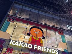 -KAKAO FRIENDS(弘大店)