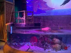 -沈阳海洋探索中心