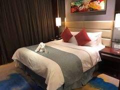 -常州环球恐龙城维景国际大酒店