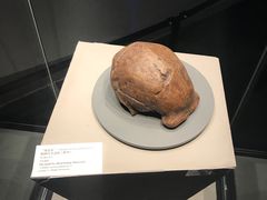 -北京周口店北京人遗址博物馆