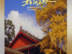 -金堂县云顶石城风景区