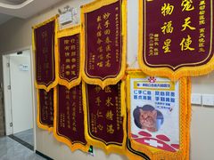 -美联众合爱康动物医院•复杂内科•肿瘤科•牙科•腔镜诊疗中心