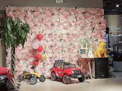 -百好乐宠物友好餐厅(朝外大街店)