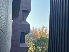 -香港大学