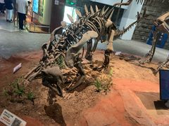 -自贡恐龙博物馆