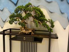 -杭州西湖东坡酒店