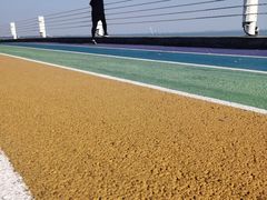 -贡湖湾湿地公园