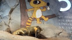 -Zoolung Zoolung动物主题公园(海信广场店)