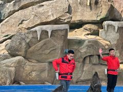 -芜湖新华联大白鲸海洋公园