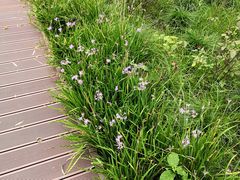 -苏州河梦清园环保主题公园