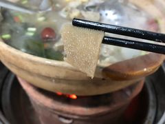 羊肚-蔡记·九米羊肉炉(东渡店)