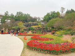-秀丽东方