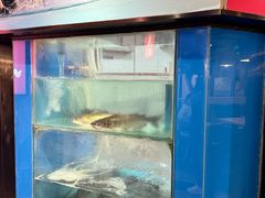 -鱼酷活鱼烤鱼(梅江印象城店)