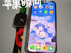 -Apple零售店(济南恒隆广场店)