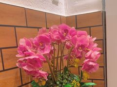 -抱德·潮汕味(敦和店原惠城鱼仔)