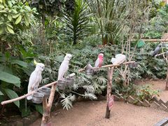 -南宫五洲植物乐园