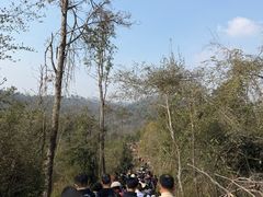 -青龙山国家森林公园