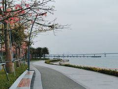 -深圳湾公园(南山区)