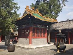 -药王庙(安国市)