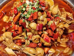 -美蛙四季(黄寺大街店)