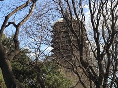 -玲珑塔公园