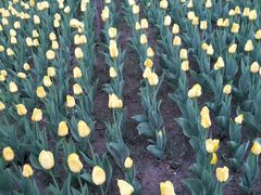 景点-长春公园(普阳街道)