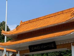 -深圳仙湖植物园