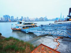 -丹东路渡口(轮渡站)